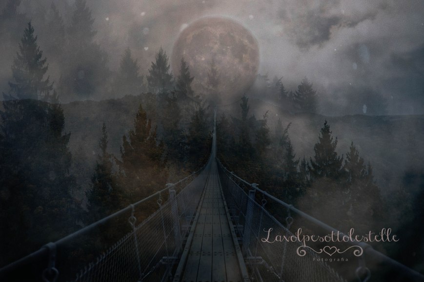 lukas-becker-156000-unsplash